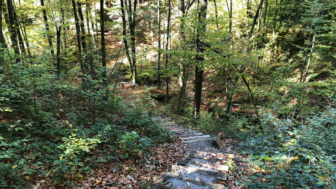 trail at Aigner Park | © Tourismus Salzburg