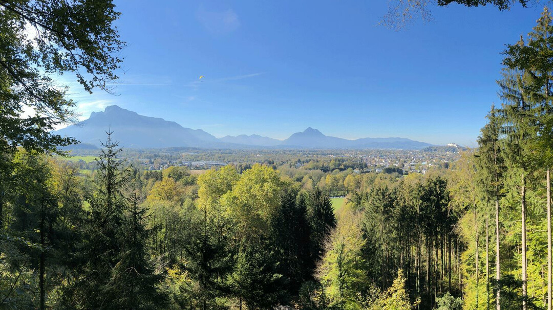 Ausblick von der Kanzel im Aigner Park | © Tourismus Salzburg