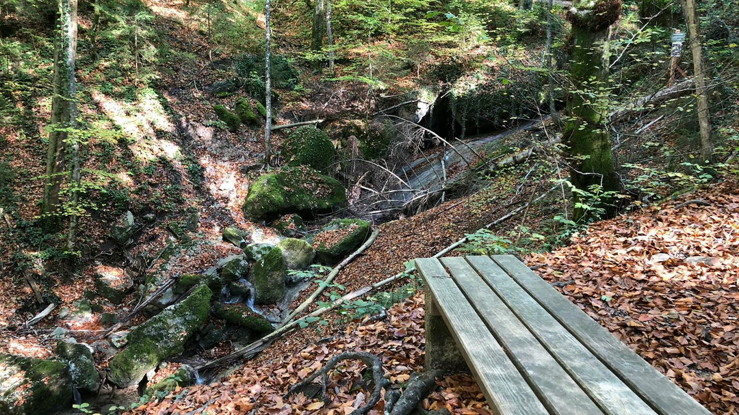 Bankerl im Aigner Park | © Tourismus Salzburg