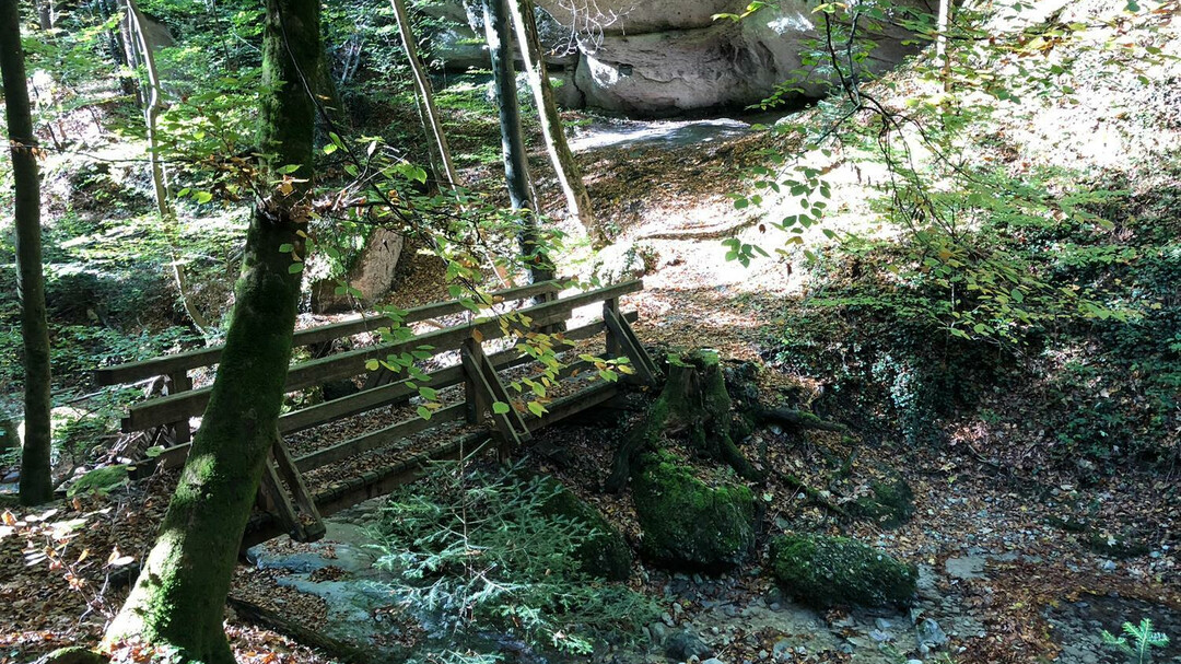 Brücke im Aigner Park | © Tourismus Salzburg