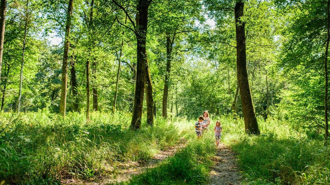 Familienwanderung in der Au