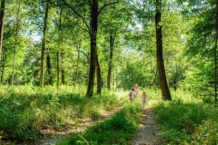 Familienwanderung in der Au