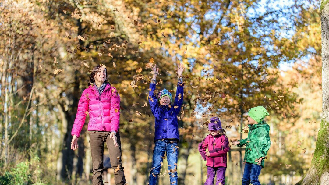 Herbstlaub Familie Au Anthering