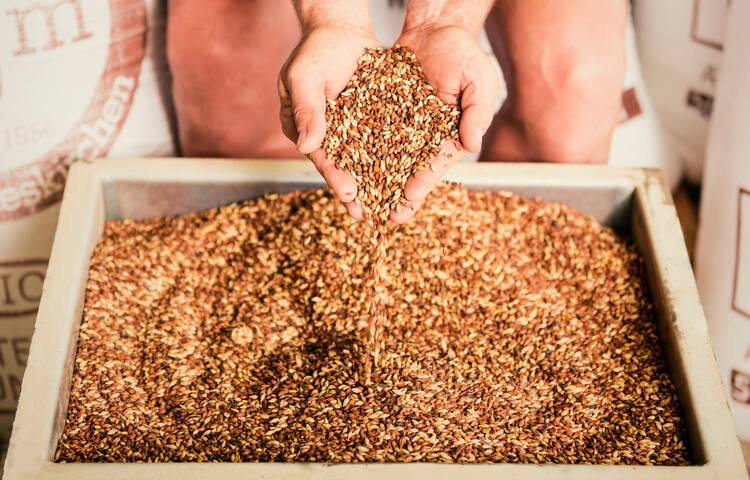 Malz | © Die Weisse