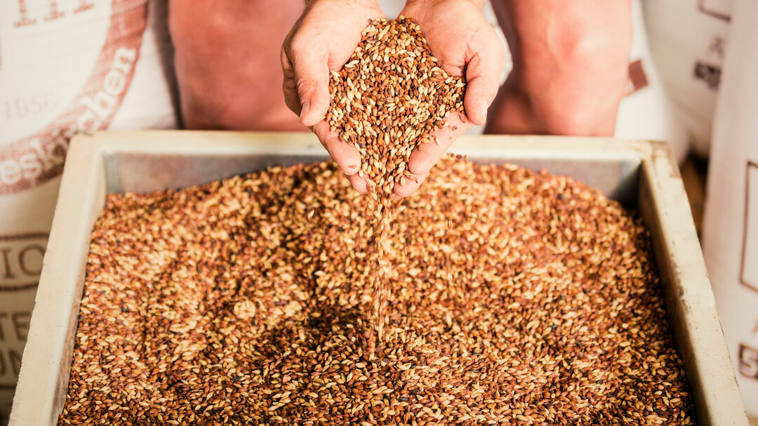 Malz | © Die Weisse