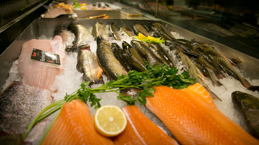 Fisch | © Europark, wildbild