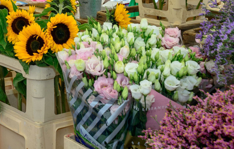 Blumenmarkt | © Tourismus Salzburg GmbH, Breitegger G.