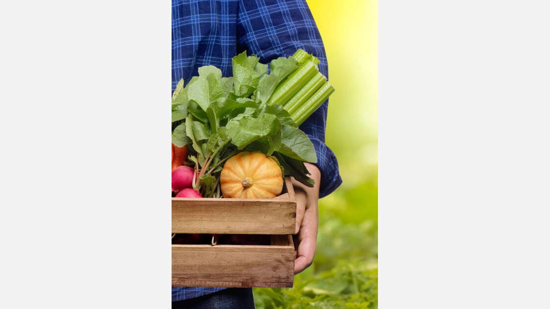 Gemüse | © Bio-Markt Borromäuspoint