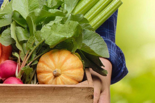 Gemüse | © Bio-Markt Borromäuspoint