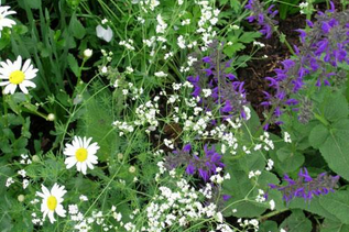 Botanical Garden | © Botanischer Garten