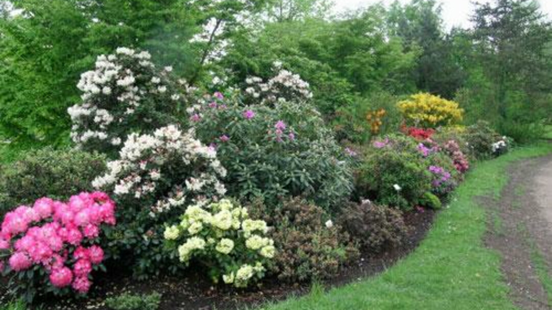 Botanical Garden | © Botanischer Garten