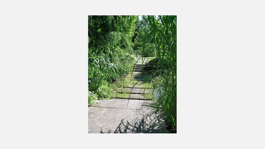 Botanical Garden | © Botanischer Garten