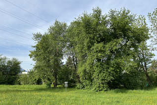 Fangkorb im Gelände | © Discgolf Union Salzburg, Harald Nutz