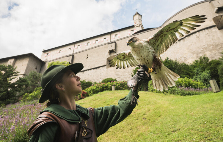 Falconer at the Fortress Hohenwerfen | © Salzburger Burgen & Schlösser