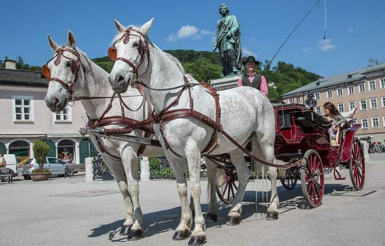 Fiaker am Mozartplatz | © Marketing Concepts