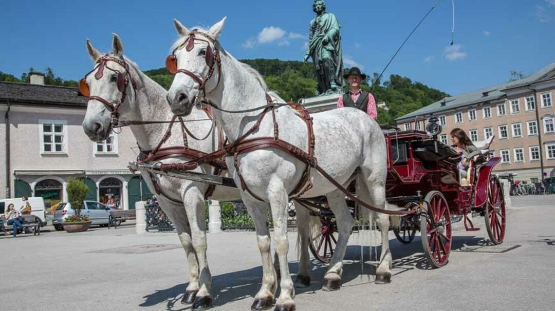 Fiaker am Mozartplatz | © Marketing Concepts