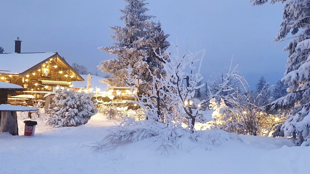 Außenansicht im Winter | © Goasn Alm