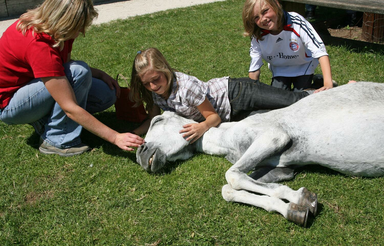 Horse | © Gut Aiderbichl