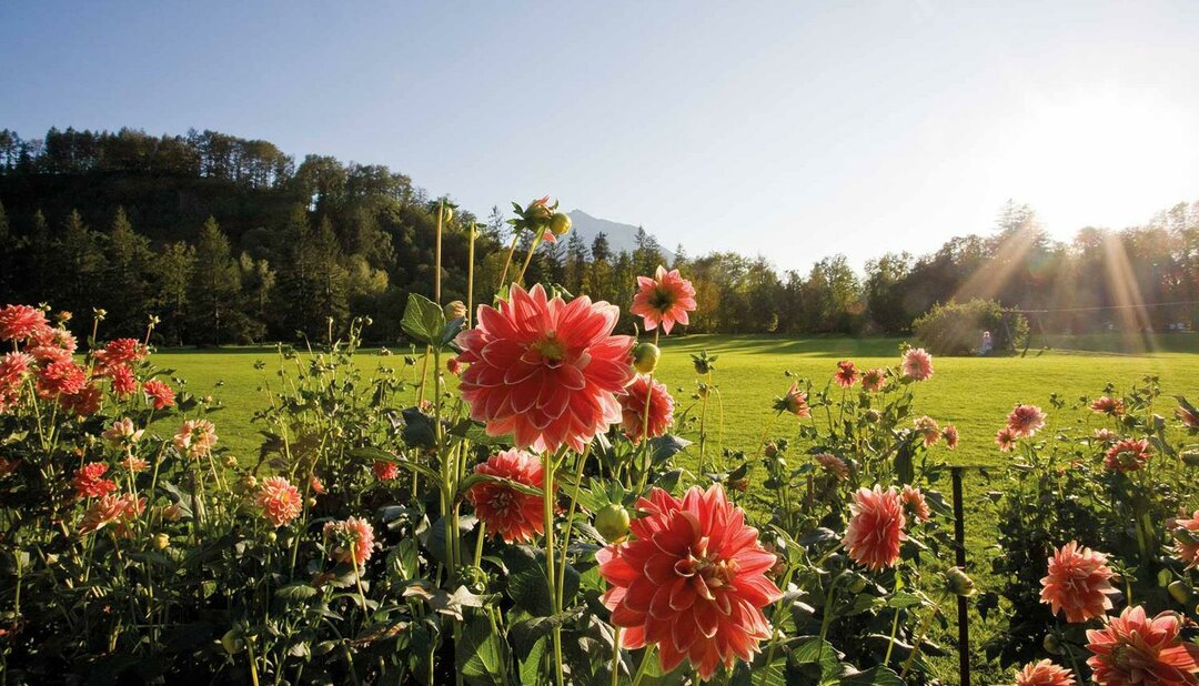 Park | © Schlossverwaltung Hellbrunn