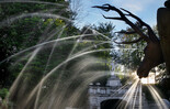 Trick Fountains at Hellbrunn: deer | © Schlossverwaltung Hellbrunn