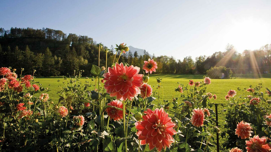 park | © Schlossverwaltung Hellbrunn