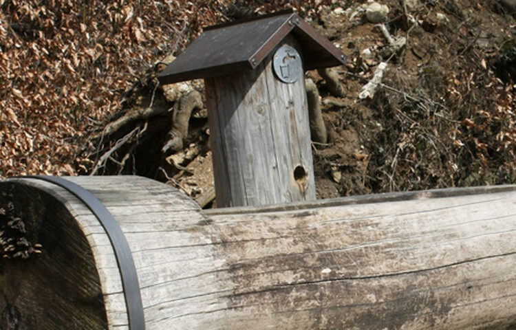 Holztrog Brunnen am Kapuzinerberg | © mein.salzburg.com