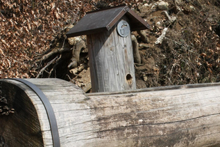 Holztrog Brunnen am Kapuzinerberg | © mein.salzburg.com