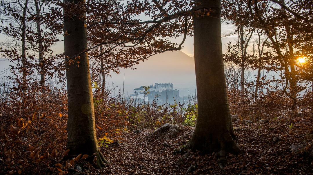 Herbststimmung mit Blick auf Festung Hohensalzburg | © Tourismus Salzburg / G.Breitegger