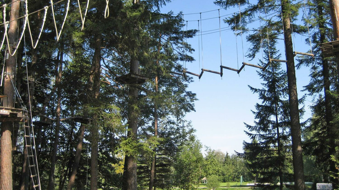 Kletterpark Waldbad Anif | © Kletterpark Waldbad Anif