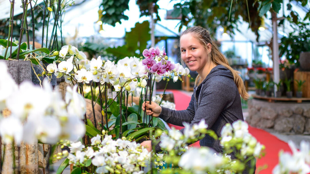 Kunstgärtnerei Doll | © Tourismus Salzburg GmbH / G. Breitegger