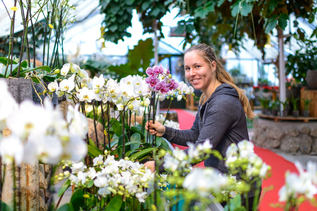 Kunstgärtnerei Doll | © Tourismus Salzburg GmbH / G. Breitegger