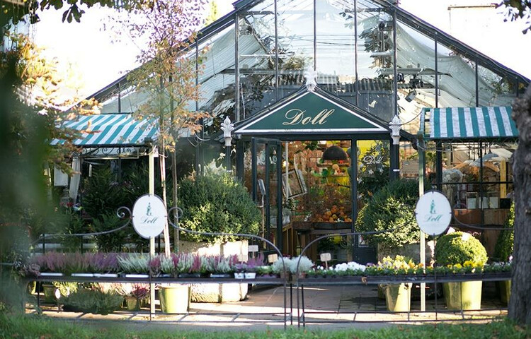 Kunstgärtnerei Doll in Salzburg | © Kunstgärtnerei Doll