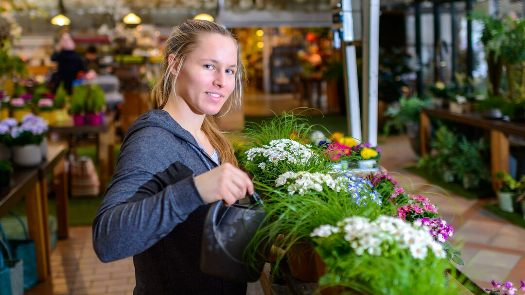 Blumenpflege in der Kunstgärnterei Doll | © Tourismus Salzburg GmbH / G. Breitegger