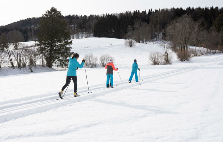 Langlaufloipe Oberwinkl | © TVB Elsbethen