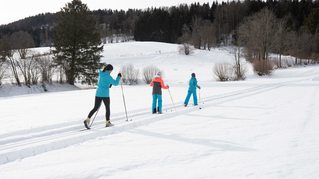 Langlaufloipe Oberwinkl | © TVB Elsbethen