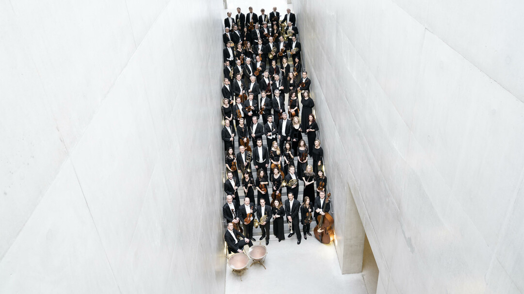 Mozarteumorchester Salzburg Gesamtbesetzung | © Mozarteumorchester/ Nancy Horowitz