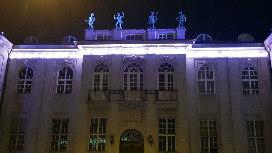 Modern Light Installation of the Façade at Night | © Tourismus Salzburg