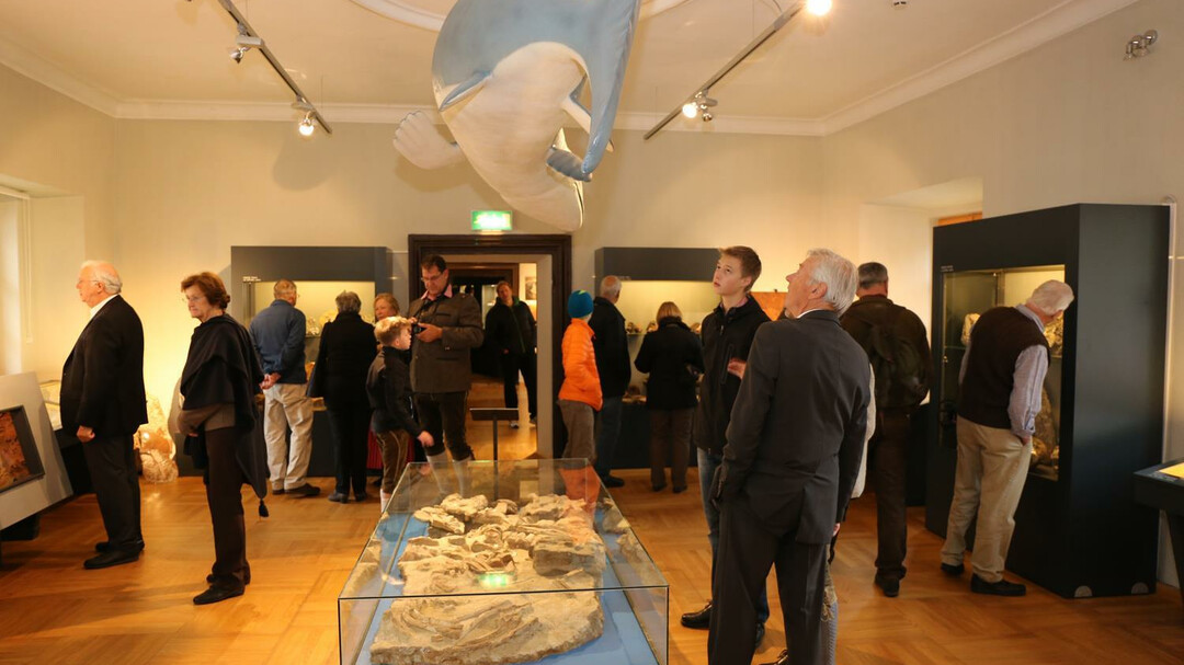 Museum | © Museum Burg Golling