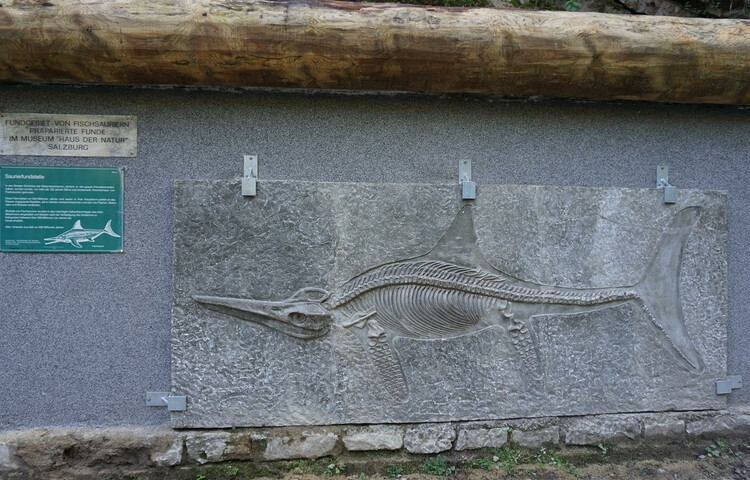 Fischsaurier | © TVB Elsbethen