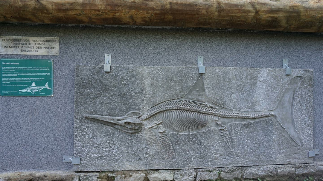 Fischsaurier | © TVB Elsbethen