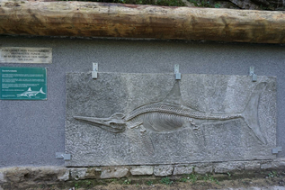 Fischsaurier | © TVB Elsbethen