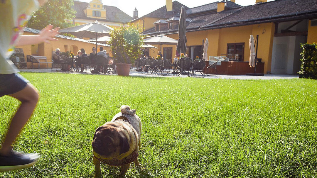Terrasse | © Parkcafé Schloss Hellbrunn