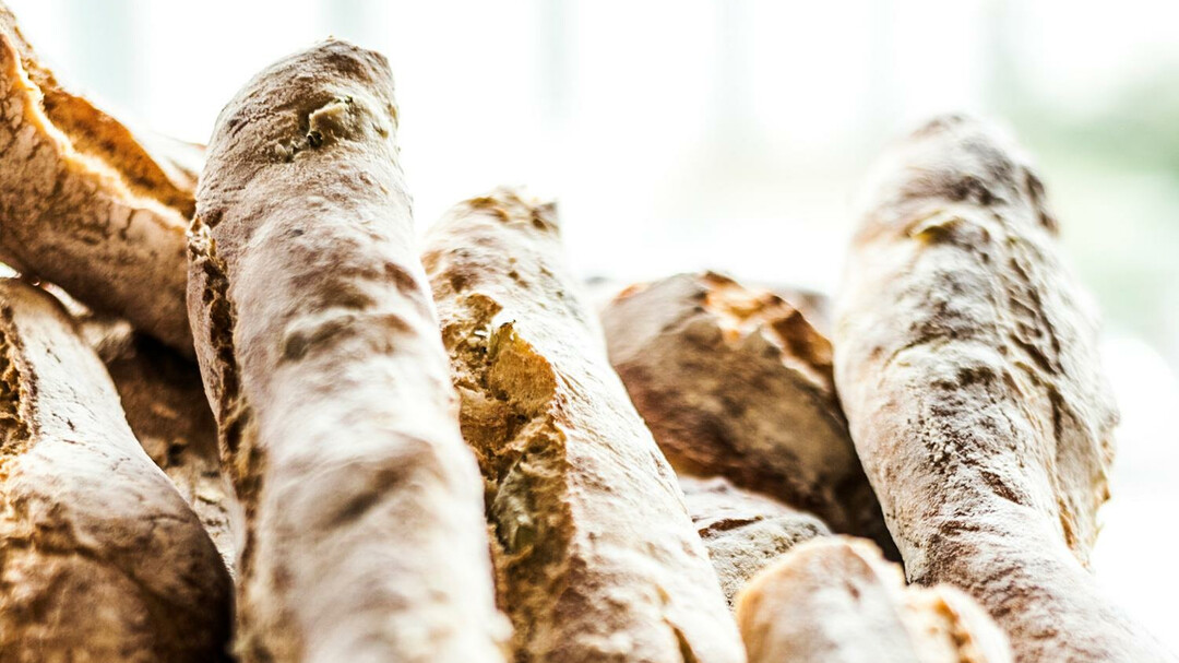 Ciabatta | © Pasta e Vino