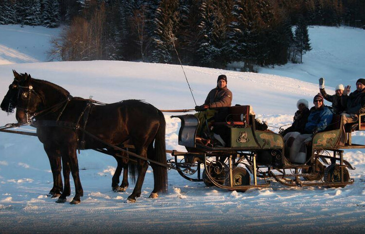Pferdeschlitten in der Ramsau | © Wolfgang Seifert