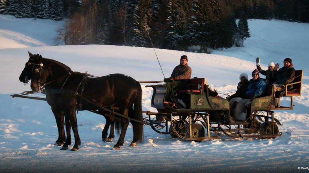 Pferdeschlitten in der Ramsau | © Wolfgang Seifert