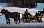 Pferdeschlitten in der Ramsau | © Wolfgang Seifert