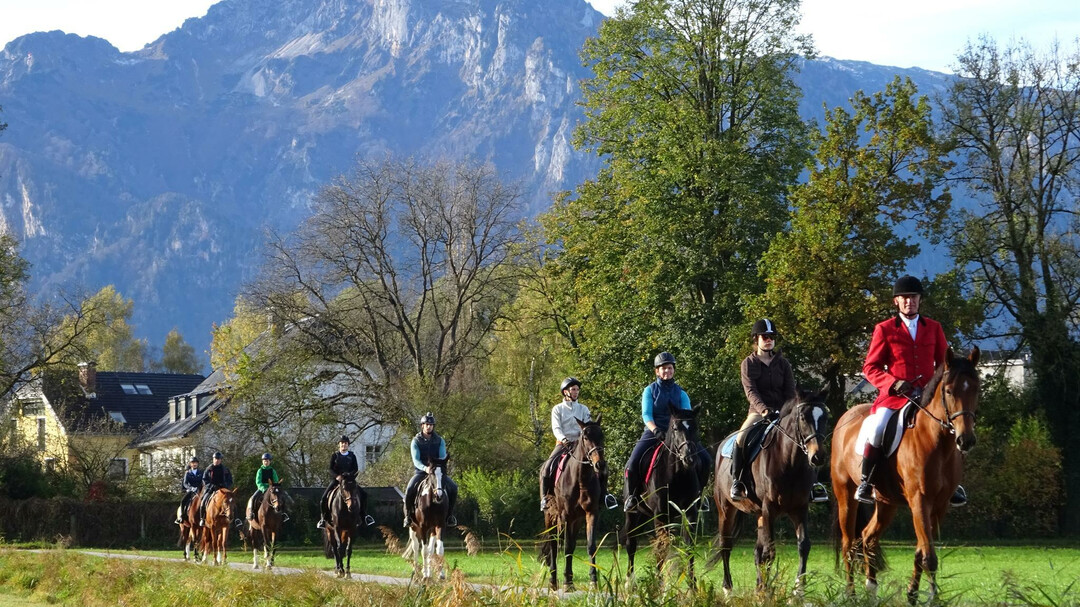 Reitgruppe | © Reitzentrum Doktorbauer