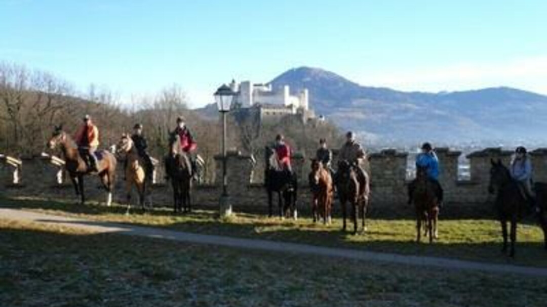 Pferde mit Festung | © Reitzentrum Doktorbauer