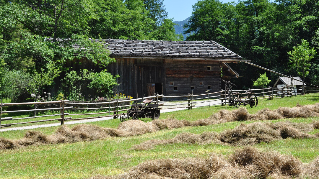 Wiese vor dem Bauernhaus | © Salzburger Freilichtmuseum
