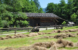 Wiese vor dem Bauernhaus | © Salzburger Freilichtmuseum